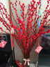 【红色招财银柳】干花真花鲜枝耐寒年宵花水培花卉室内摆放装饰花 60厘米【30支】送灯笼 实拍图