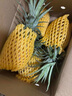 金钻凤梨17号海南新鲜水果无眼菠萝热带水果当季 净重4.5斤小果 单果400g起 实拍图