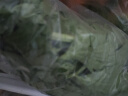 云南四季豆新鲜现摘云南长扁豆角农家应当季蔬菜芸豆现摘菜豆 新鲜四季豆1斤 实拍图