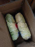 【超市品质】新鲜精品娃娃菜现砍现发小包装新鲜蔬菜生鲜产地直发 新鲜娃娃菜1*(3棵)*2包 实拍图