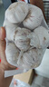 山东金乡蒜大蒜出口标准精选大蒜头蔬菜调料单果5cm 出口标准网兜装箱 1800g 5-5.5cm特大 实拍图