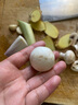【绿色认证】鲜美白蘑菇230g 实拍图