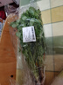 带根香菜100g 实拍图