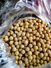 十月稻田 黄豆 2斤(可发豆芽 打豆浆 大豆 东北 五谷 杂粮 真空 大米伴侣) 实拍图