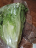 散叶生菜约400g 实拍图