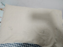 洁丽雅（Grace）枕套A类抗菌100%纯棉  吸汗枕头套 微屿 一只装 30*50cm 实拍图