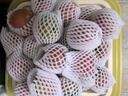 京鲜生 山东铁皮草莓西红柿 净重4.5斤 单果60-150g水果番茄源头直发 实拍图