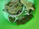 沃绣 蚕宝宝当天发货 活蚕宝宝蚕卵小蚕彩色蚕新鲜桑叶学生养蚕套装 养蚕工具十件套 实拍图