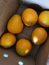 京觅秭归纽荷尔脐橙新鲜采摘 净重4.5斤 单果150g+ 香甜多汁源头直发 实拍图