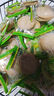 【热销】香葱王薄片饼干香葱薄饼小吃薄脆小饼干休闲食品零食批发 香葱薄脆饼干20包*划算装！ 香葱 实拍图