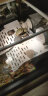 rep-shop乌龟缸晒台巴西龟草龟黄缘剃刀黄头晒背补钙浮台水龟爬梯爬坡 小号白[8*14cm] 实拍图