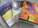 偷影子的人+追风筝的人+摆渡人（套装共3册） 实拍图