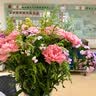 一花一恋鲜花同城配送红玫瑰花束礼盒送女友老婆生日礼物花店 鲜花·33朵红玫瑰520拼字礼盒 实拍图