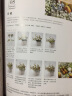 日本花艺名师的人气学堂：新娘手捧花制作技法 实拍图