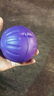 星记狗狗训练用品训犬玩具球边牧飞盘软飞碟耐咬不伤牙 星记妙想泡沫弹力球-紫色 标准号 实拍图