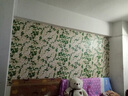 迪茵 壁纸自粘墙纸宿舍卧室壁纸贴客厅墙面装饰家具翻新床头墙纸贴纸 粉底小花 90厘米宽 5米长 实拍图