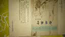 杏林集叶 实拍图