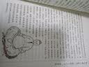 丹道仙术入门 实拍图