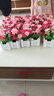 浩瀚摆件仿真花跳兰菊整体花艺 婚庆家居餐厅装饰小翠花白栅栏套装 白栅栏30cm+玫红 实拍图