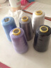 三爱 家用缝纫线包塔线缝纫机线涤纶针线线宝塔线402家用彩色手缝线 浅紫 1个 实拍图