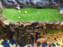 多肉花盆园艺摆件 蘑菇苔藓微景观水族鱼缸摆件diy可爱造景迷你仿真饰品 盆景盆栽植物配件 小黄鸭 一对 实拍图