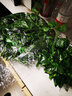 豫之韵 仿真花藤条客厅装饰仿真绿藤条吊顶楼梯空调管道装饰藤蔓葡萄叶 80片绿萝叶1条 实拍图