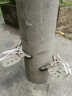齐鲁安然 加厚型电工脚扣 无缝钢管电线杆脚扣 路灯杆 爬杆 登杆 10米 12米 15米电信水泥杆 300型   10米杆 实拍图