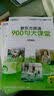 新东方英语900句大课堂（6CD-ROM+MP3+VCD+3本书 视频版） 实拍图