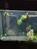 森森（SUNSUN）鱼缸过滤器外置水族箱过滤桶 HW303B(无滤材 适合1-1.2米的鱼缸) 实拍图