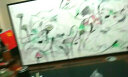 居梦坞海贼王海报卡通动漫挂画客厅创意卧室墙画人物画动漫二次元周边 NB1863 50*30cm 实拍图