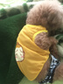 |夏季宠物背心 泰迪狗衣服 猫衣服 雪纳瑞比熊宠物衣服装中小型犬狗狗网格布透气卡通可爱T恤 黄金猴 M适合胸围38cm背长30cm体重6斤内 实拍图