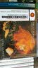 RCA BEST100-87十九首无比优美大提琴浪漫曲(CD) 实拍图
