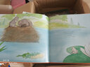 凯迪克作者温情绘本：不一样的小宝宝 3-6岁 童立方出品 实拍图