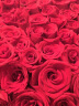 馨长存鲜花速递红玫瑰花束生日礼物送女友全国同城花店配送 33朵红玫瑰礼盒—红豆款 实拍图