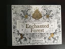 Enchanted Forest : 20 Postcards魔法森林 20张明信片 实拍图