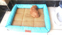 獒少保狗窝猫窝夏季宠物狗狗窝垫子凉席金毛泰迪狗窝小型犬狗屋狗床用品 天空蓝 M码 50*41*7cm 建议12斤内 实拍图