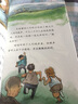 小木马童书：西顿动物小说全集（彩绘版 套装13-18册） 实拍图