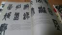 碑帖导临：吴昌硕临石鼓文 实拍图