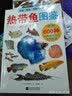 热带鱼图鉴 实拍图