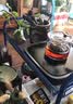 日式手工实木侧把煮水茶壶加厚玻璃壶自带茶滤耐高温三界电陶炉煮茶器侧把玻璃茶壶电茶炉煮茶壶具 百财煮茶壶电陶炉胡桃色 实拍图