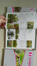 园林植物图鉴丛书：观果植物 实拍图