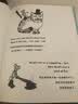a，e，I，o，u，还有y 实拍图