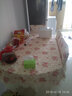 温恋 浪漫时尚小碎花桌布餐桌椅垫田园蕾丝方桌茶几布艺餐桌布椅垫 镜中花 1个椅垫 1个椅背 实拍图