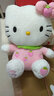 达娃hellokitty公仔玩偶毛绒玩具哈喽KT猫咪凯蒂猫布娃娃情人节礼物女 12寸30厘米富贵花 KT猫公仔 实拍图