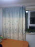 美丽契约 田园花朵半遮光窗帘韩式客厅卧室窗帘 蓝色田园-布(挂钩) 2.5米宽x2.7高一片 实拍图