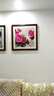 紫腾随轩新中式牡丹花开富贵装饰画客厅餐厅背景墙画卧室床头挂画壁画 图16 60*60cm红木色实木框 实拍图