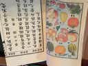 共和国教科书·初小部分（套装共6册） 实拍图