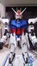 万代（BANDAI） 敢达拼装模型 PG 1/60 高达模型 机动战士 PG 突击强袭 白强袭 实拍图