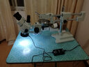 凤凰（phenix)三目体视显微镜双杆万向支架专业医学用解剖镜连续变倍 手机维修 珠宝鉴定 工业检测 中配：XTL-165-XTWZ2（7-90倍）含税 实拍图