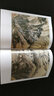 中国历代绘画名家作品精选系列：沈周 实拍图